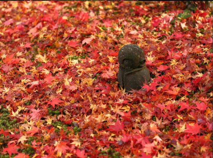 nara-and-kyoto