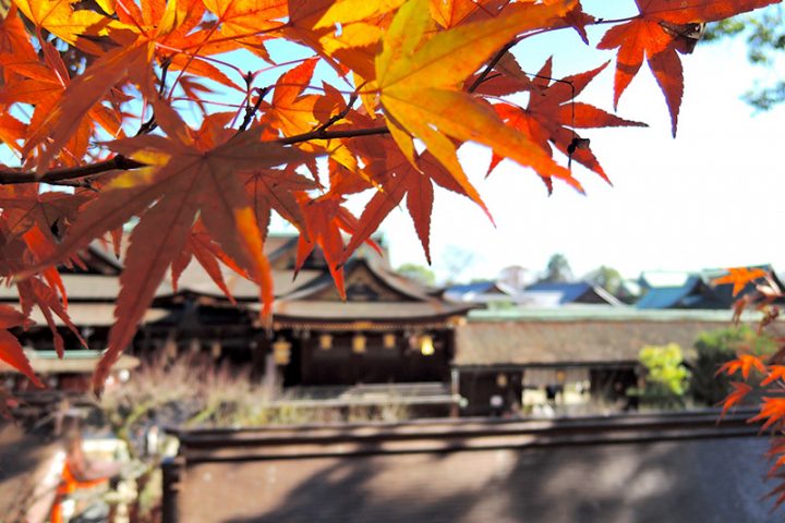 北野天満宮